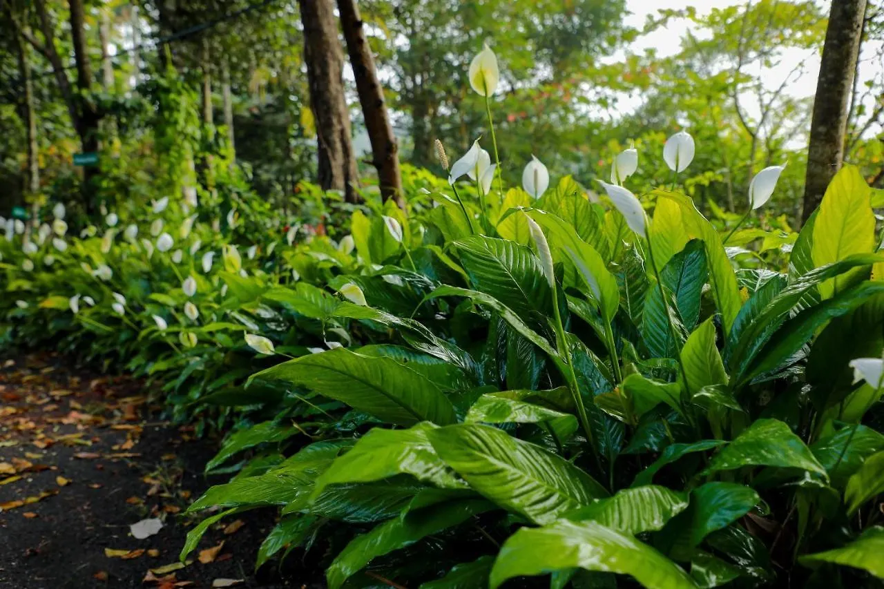 Kudajadri Drizzle Homestay Kaniyāmbetta