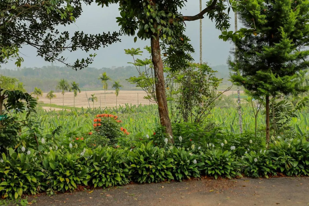 Kudajadri Drizzle Homestay Kaniyāmbetta Indien