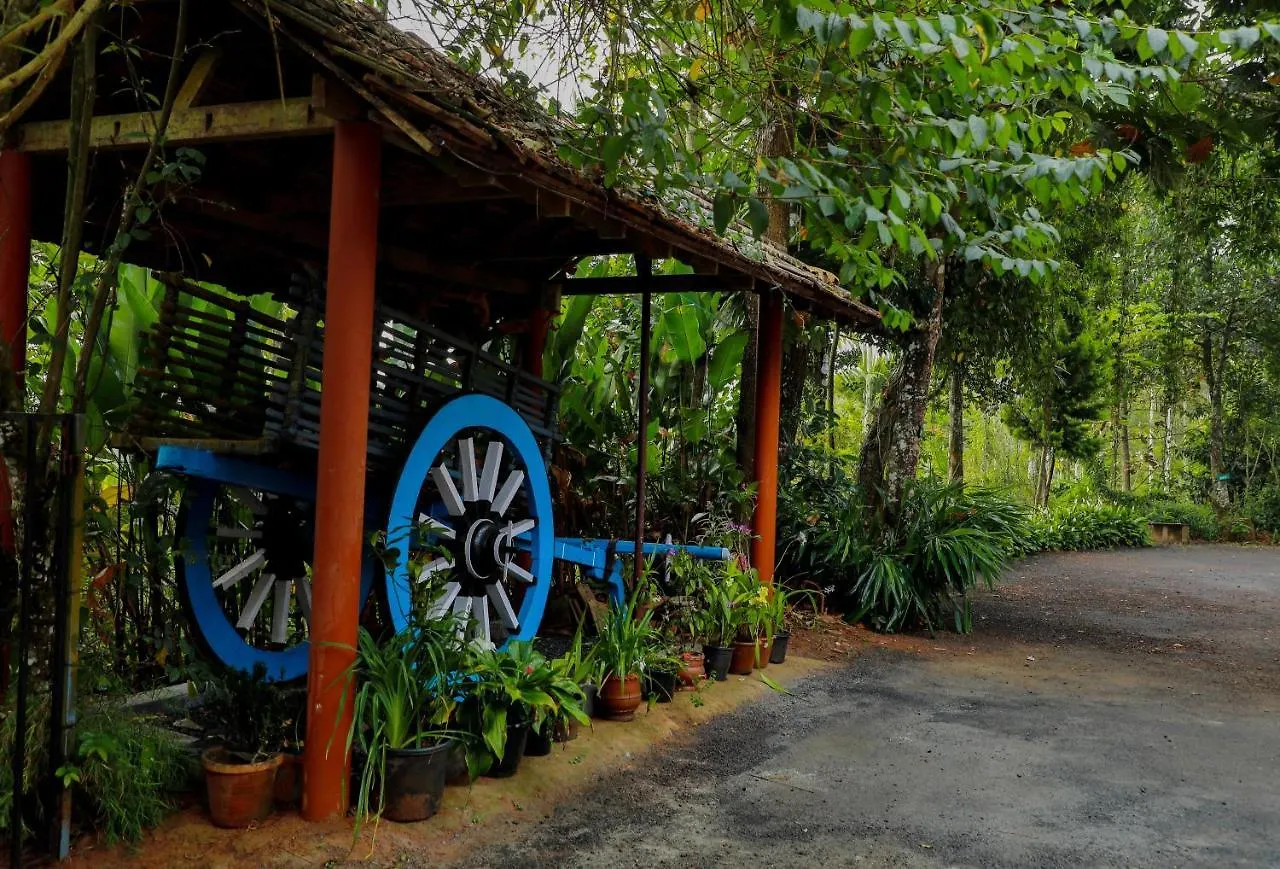 Kudajadri Drizzle Homestay Kaniyāmbetta